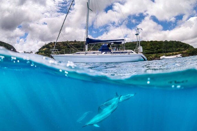 waikiki-small-group-turtle-snorkeling-sailing