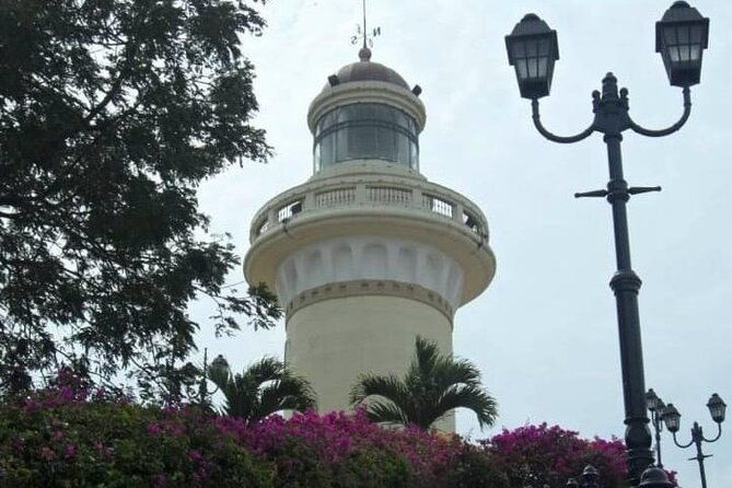 walking-through-the-city-of-guayaquil