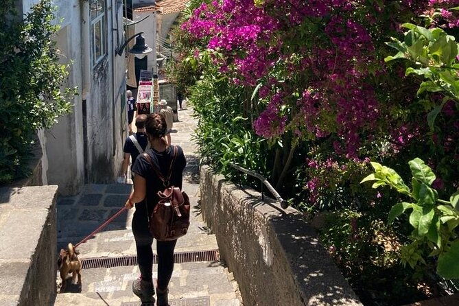 walking-tour-from-minori-to-maiori-along-the-path-of-the-lemons