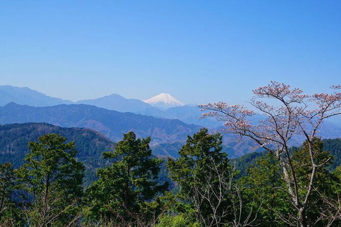 walking-tour-mount-takao-nature-and-tradition-in-tokyo