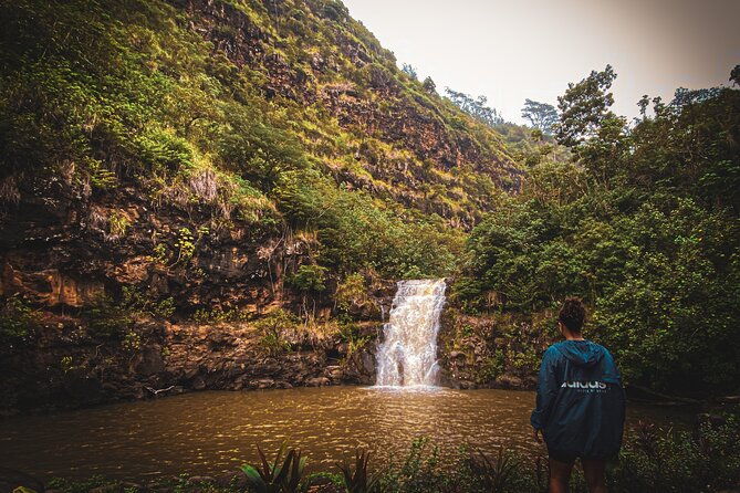 waterfall-hike-in-hawaii-rainforest-trail-2