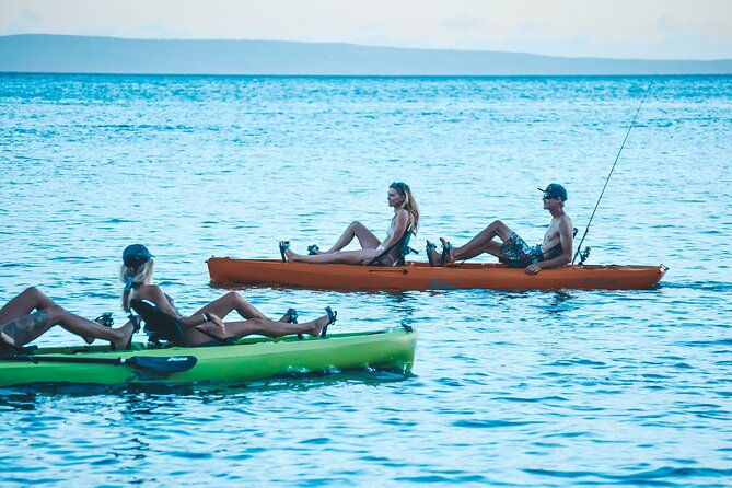 whale-watch-and-scenic-tour-from-kayak