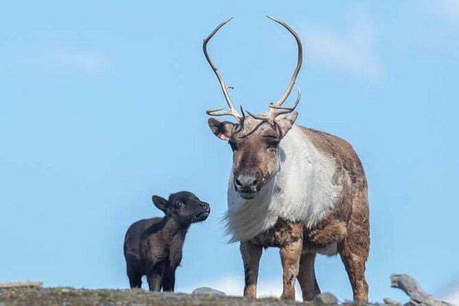 wildlife-center-with-lunch-local-beer-sampling-wintersummer-2