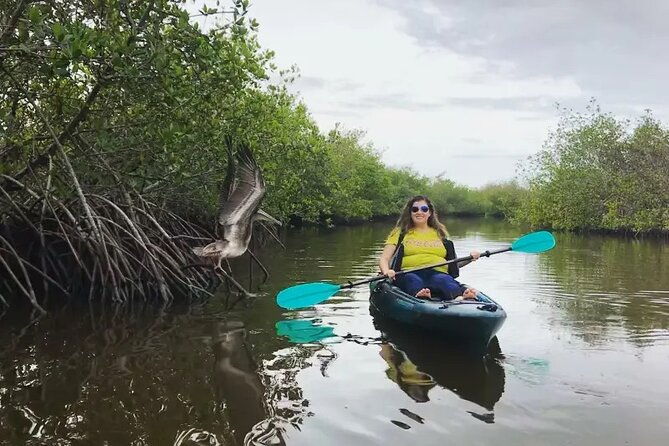wildlife-refuge-bio-comb-jelly-sunset-kayak-or-paddleboard-tour