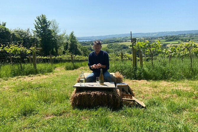 wine-and-cheese-tasting-tour-in-cheddar-valley