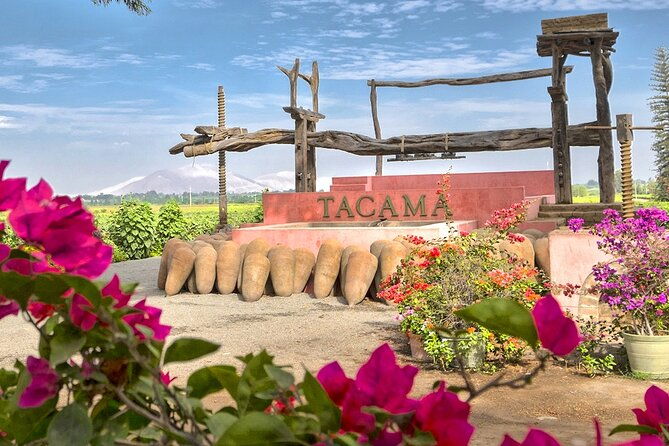 wine-and-pisco-tasting-experience-by-caravedo-and-tacama-in-ica