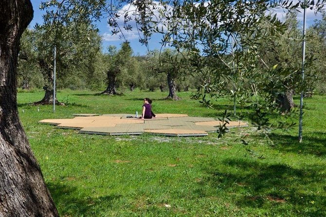 wine-olive-oil-tasting-in-an-organic-farm-in-laconia-greece