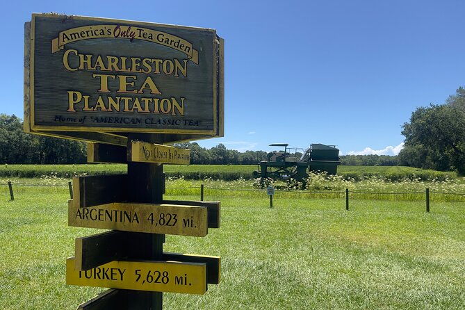 wine-sippin-tea-drinkin-tree-huggin-lowcountry-adventure