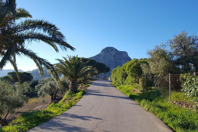 wine-tapas-tour-by-electric-bike-e-bike-including-ronda-pickup-full-day