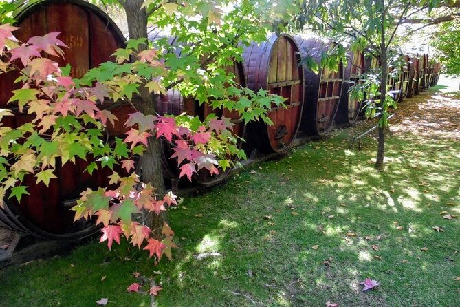 wine-tour-and-santiago-city-in-a-small-group