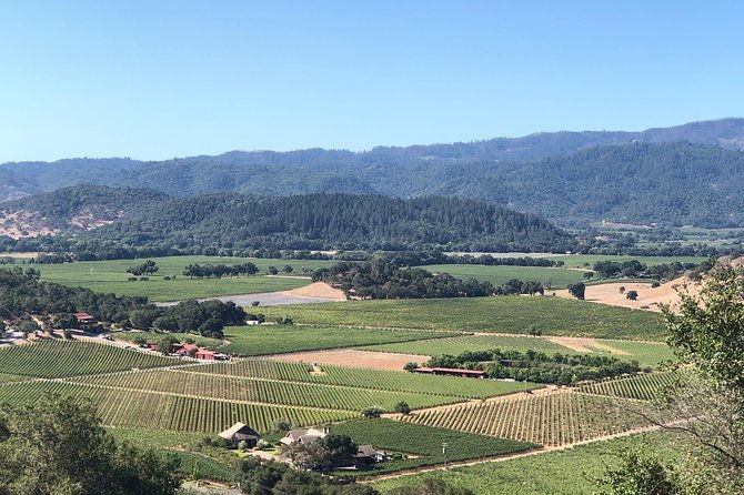 wine-tour-enjoy-a-wonderful-day-in-napa-or-sonoma-wine-country-private-driver
