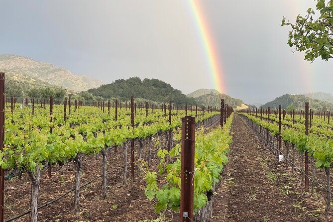 wine-tour-pros-wine-tour-and-transportation-suv-up-to-6-guests