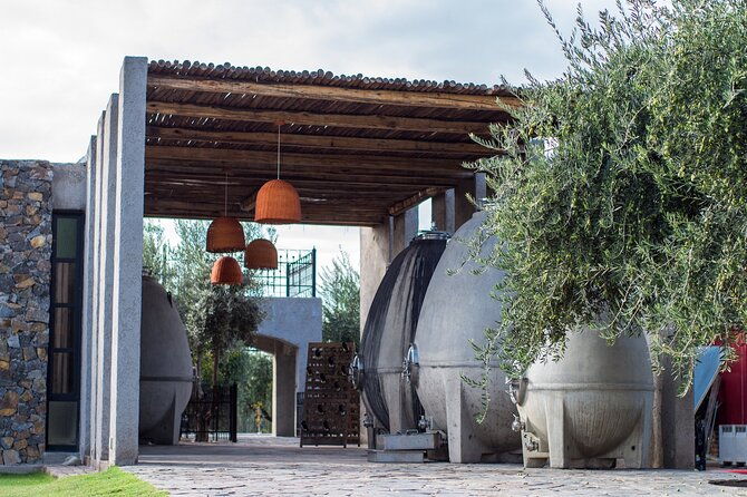 winery-the-enemy-zapata-angelic-lunch-private-transportation