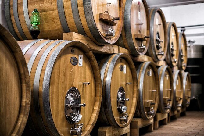winery-tour-and-private-tasting-in-montefalco