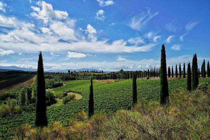 winery-tour-wine-tasting-in-montalcino
