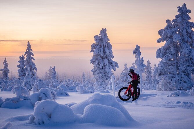 winter-afternoon-group-ride-in-saariselka