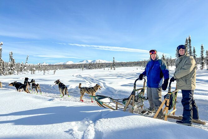 winter-dog-sled-tour-day-or-night