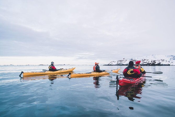 winter-half-day-kayak-tour