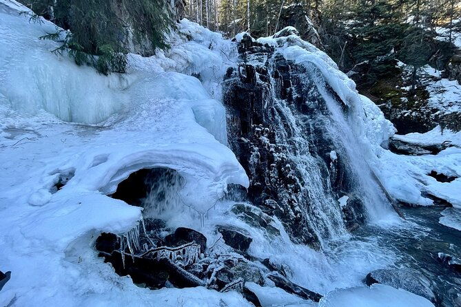winter-valley-and-forest-hike