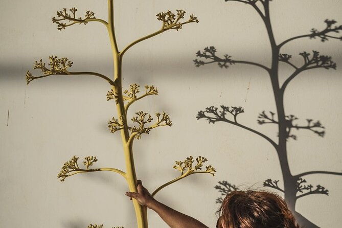 workshop-with-the-desert-craftsman-in-almeria