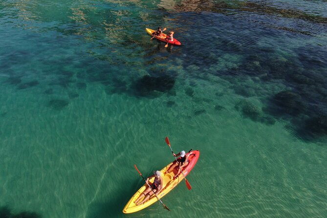 wwf-kayak-tour-from-cala-manbru-to-torre-salsa-reserve-2