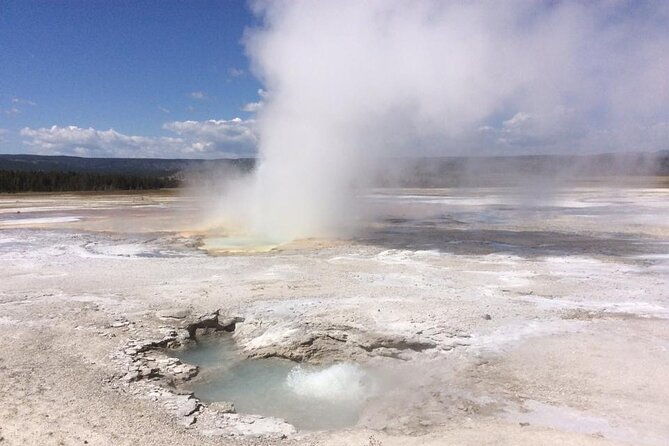 yellowstone-for-kids-all-inclusivefamily-fun-tours-pu-cody-wy