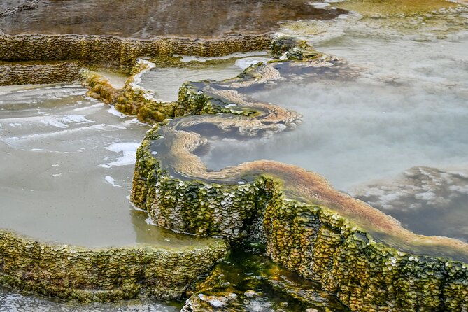yellowstone-grand-teton-national-parks-small-group-4-day-tour