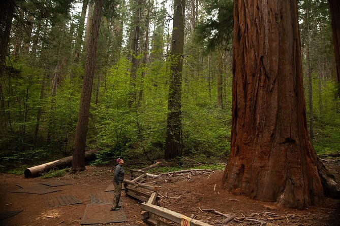 yosemite-full-day-private-tour-and-hike