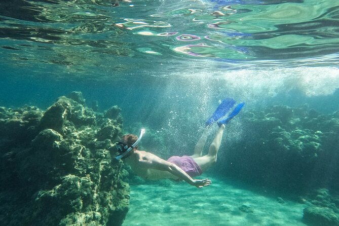 zakynthos-glass-bottom-turtle-boat-tour-to-keri-caves-islands