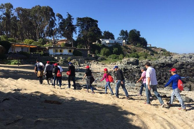 zapallar-walking-bird-watching-penguins-lunch-from-valparaiso