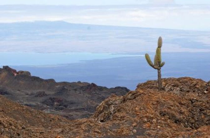 8-day-galapagos-island-hopping-superior-kicker-rock-los-tuneles-local-flight