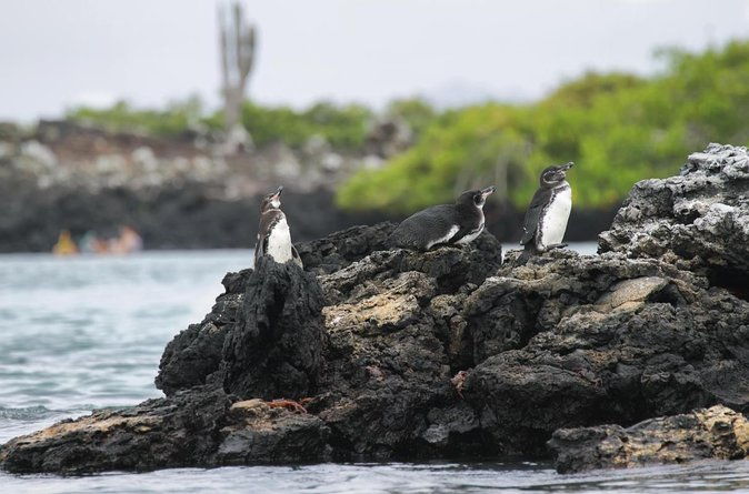 8-day-galapagos-on-a-budget-3-islands-experience