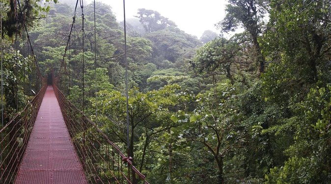 8-days-costa-rica-volcano-tropical-jungles-and-cloud-forests