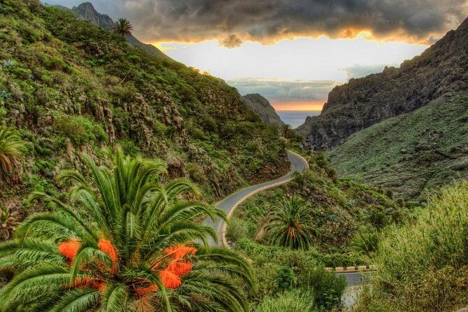 8-hour-rental-in-a-luxury-car-and-driver-official-private-guide-in-tenerife