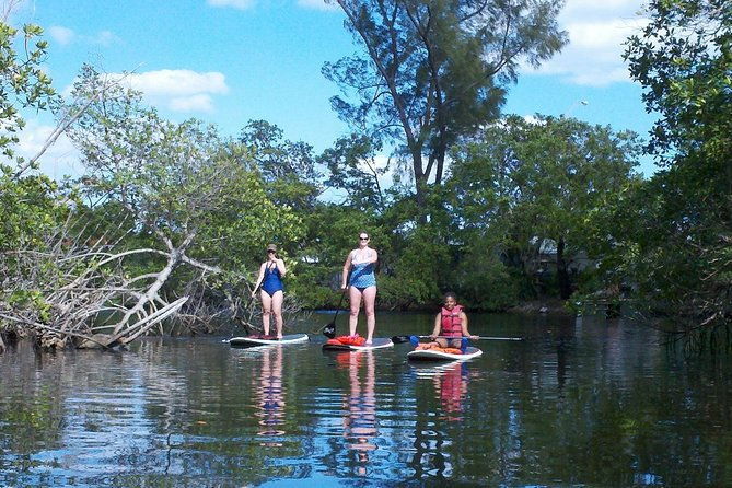 1-hour-stand-up-paddle-board-lesson-for-beginners-with-1-on-1-instructor-guide