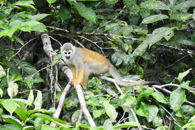 16-day-ecuador-adventure-andes-amazon-galapagos