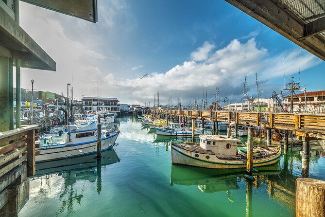 17-mile-drive-self-guided-audio-tour-from-monterey-carmel-2