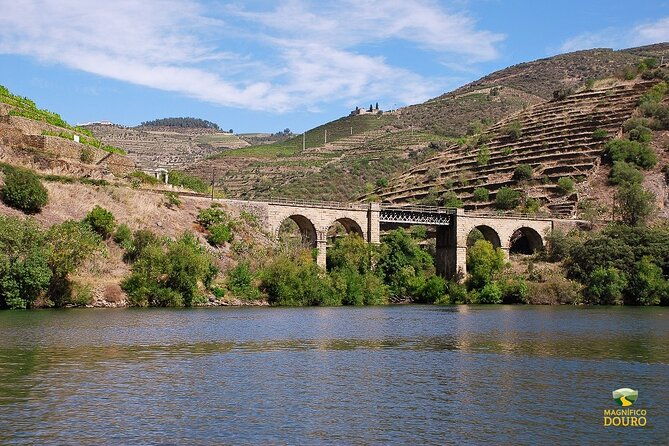2-hour-rabelo-boat-tour-in-pinhao