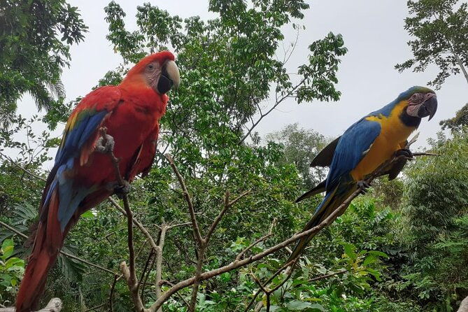 3-day-eco-sustainable-private-tour-manu-national-park