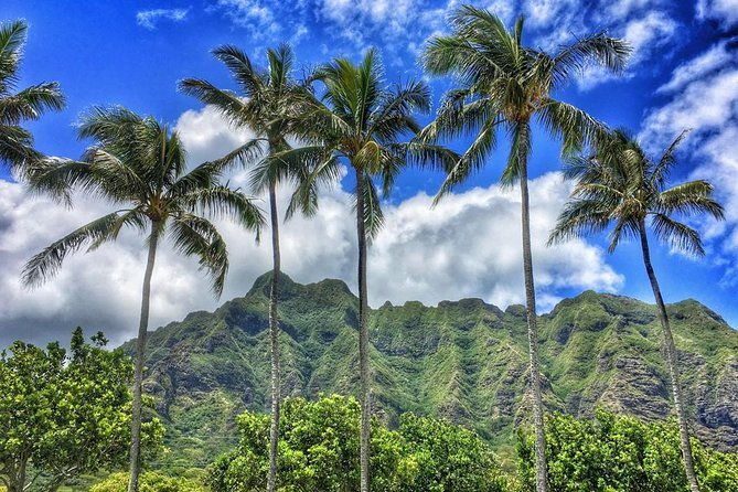 5-hour-half-day-island-jeep-tour-2
