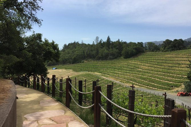 6-hour-private-wine-country-tour-of-napa-valley-up-to-6-people-in-large-suv