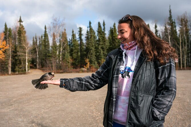 8-12-hour-private-arctic-circle-experience-in-alaska-with-lunch