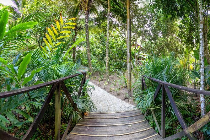 a-taste-of-fond-doux-private-walking-tour