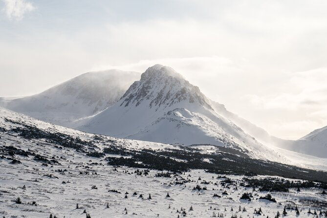 advanced-snowshoeing-adventure