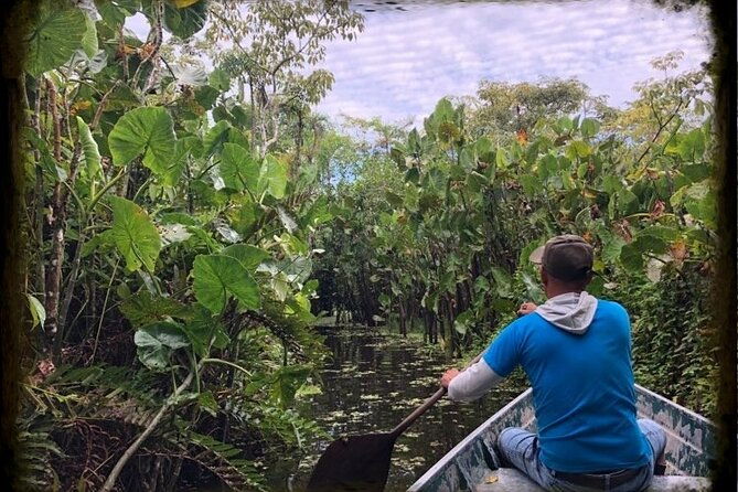 amazon-rainforest-adventure-3-days-2-nights-300-usd