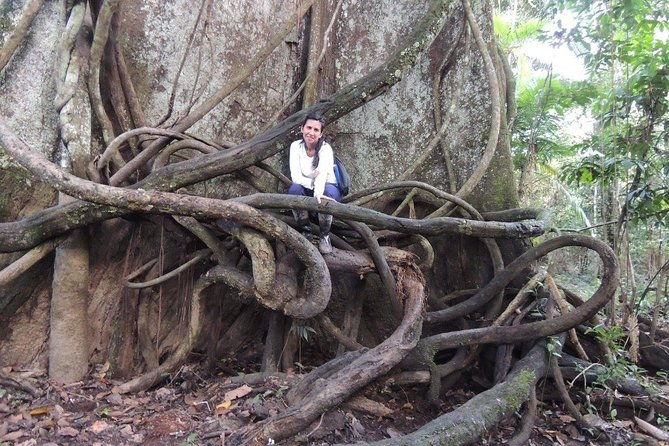 amazon-tour-adventure-3-days-2-nights-300-usd