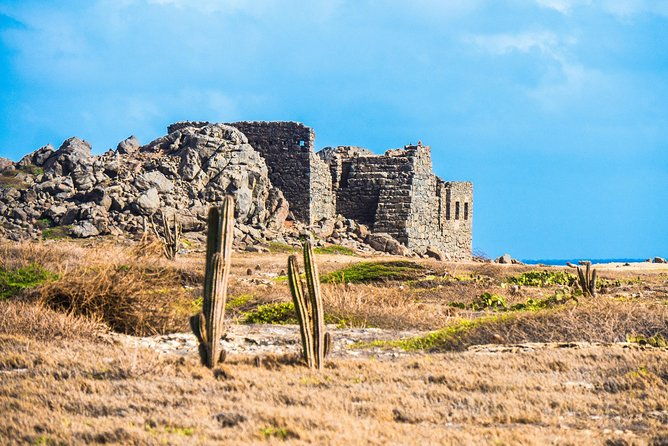 aruba-island-sightseeing-tour