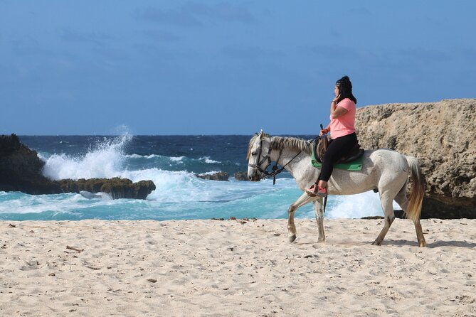 aruba-north-coastline-small-group-horseback-riding-tour