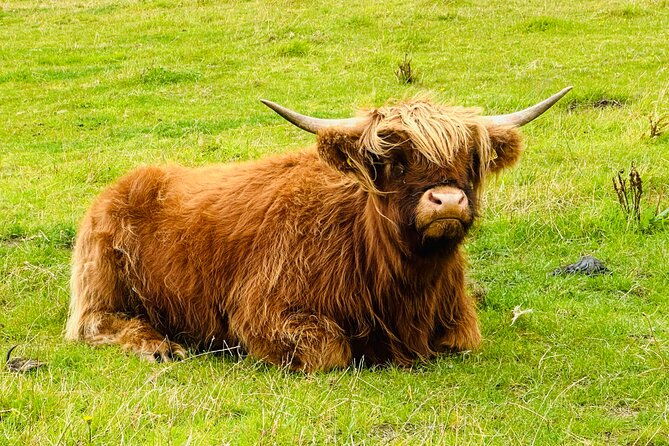 authentic-mini-highland-adventure-from-invergordon