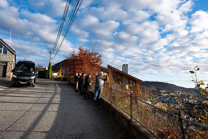 bergen-guided-tour-by-minibus-with-local-guide-photostops